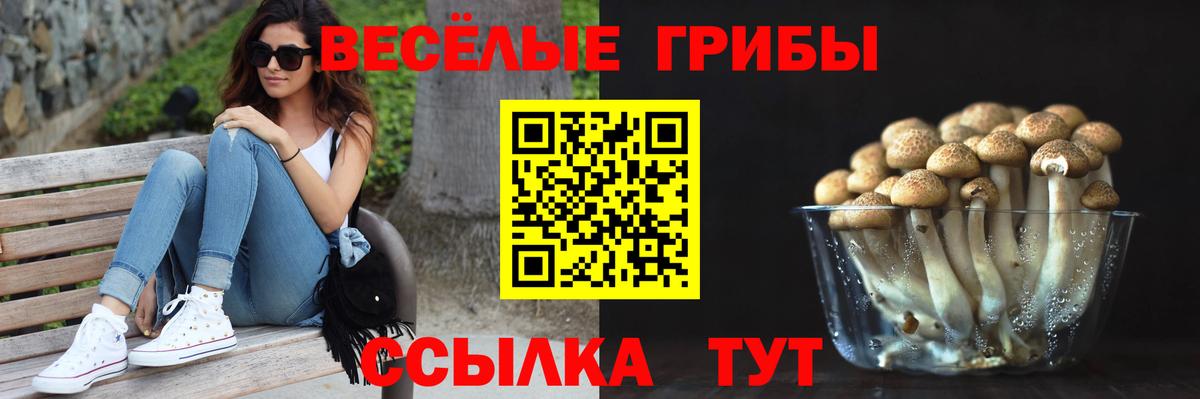 Йошкар-Ола  Псилоцибиновые грибы ЛСД  закладки  Вход с VPN 